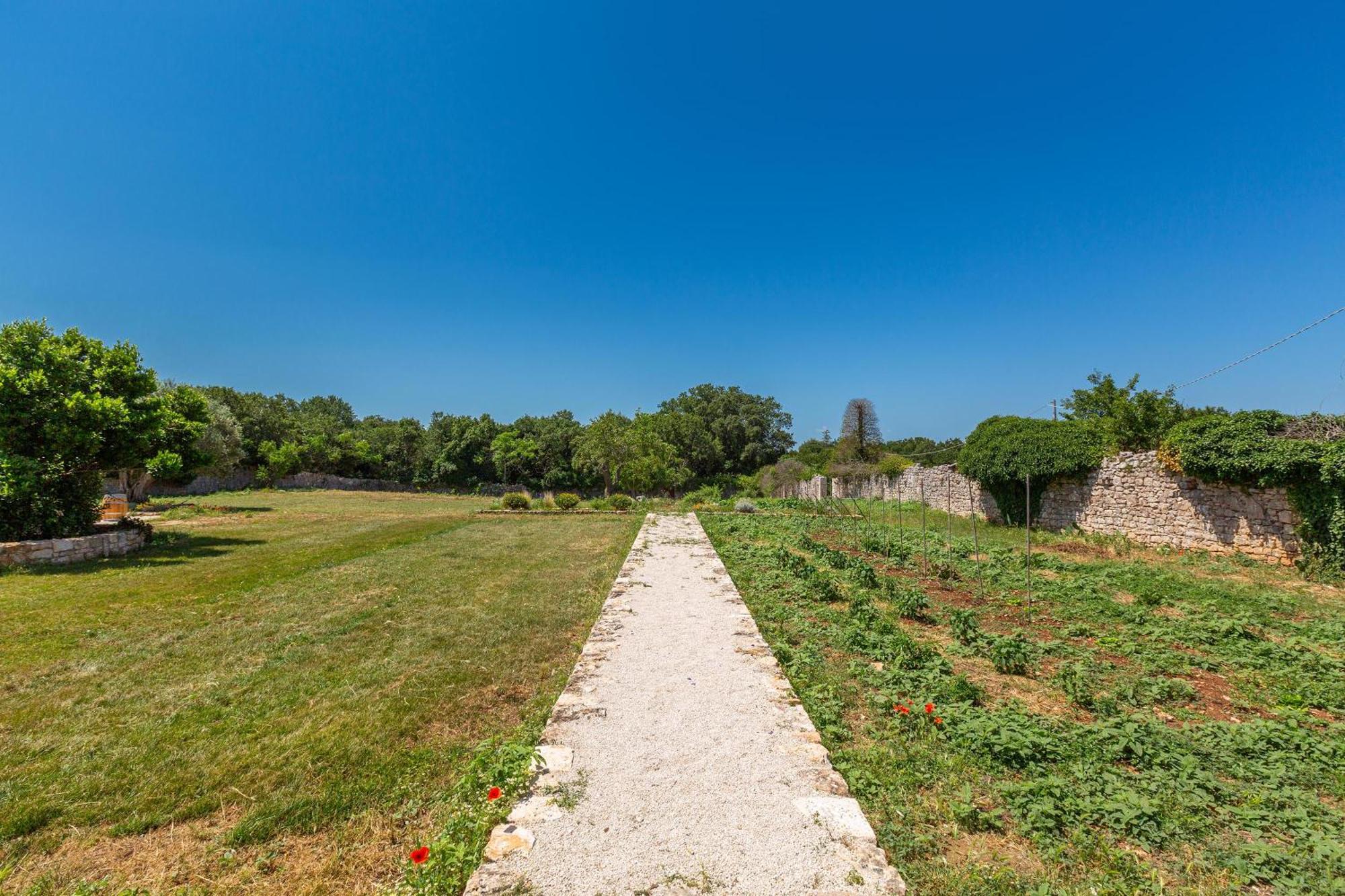 מרטינה פרנקה Masseria Nicola Casavola מראה חיצוני תמונה