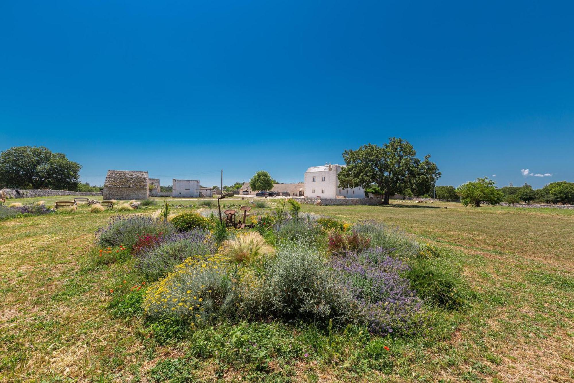 מרטינה פרנקה Masseria Nicola Casavola מראה חיצוני תמונה